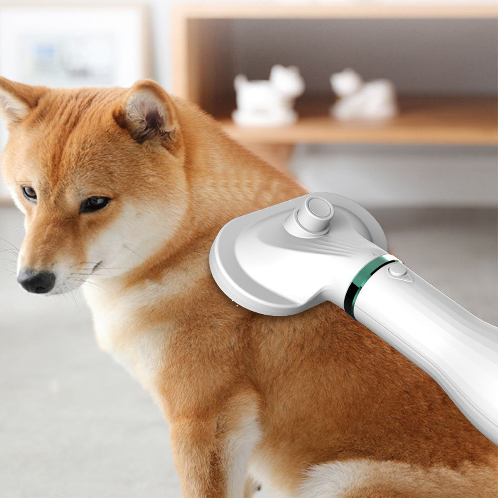 2-in-1 Pet Hair Dryer & Comb – Fast Drying, Easy Grooming!