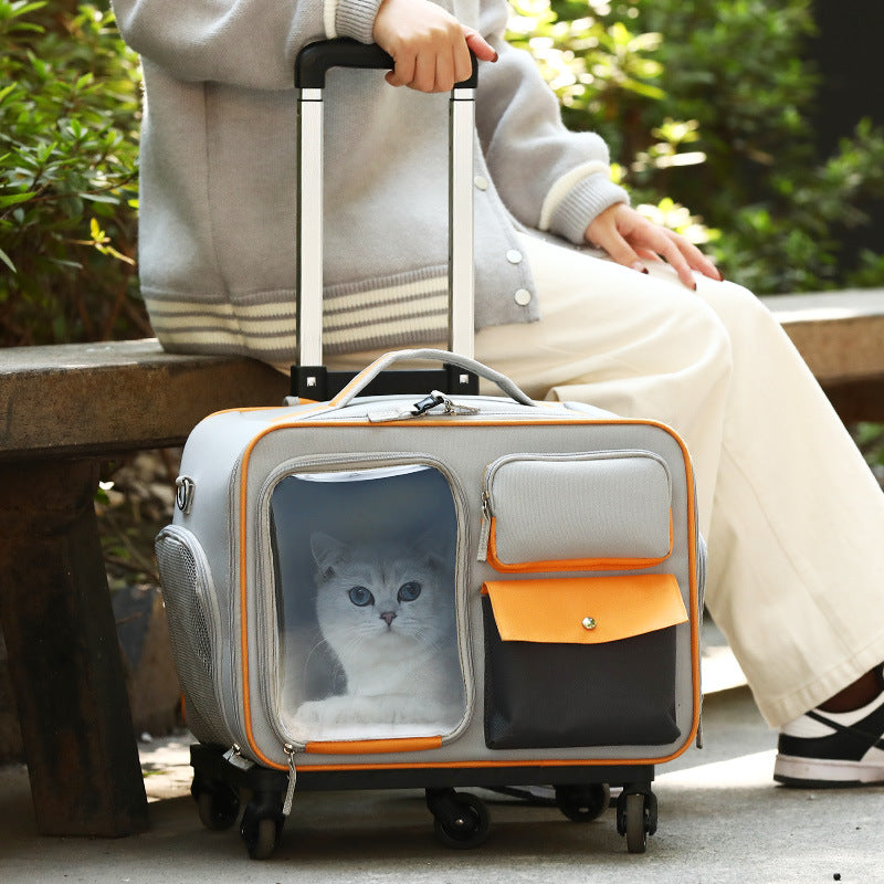 Cat Travel Trolley Backpack – Stylish & Stress-Free Adventures!