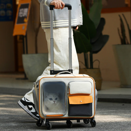 Cat Travel Trolley Backpack – Stylish & Stress-Free Adventures!