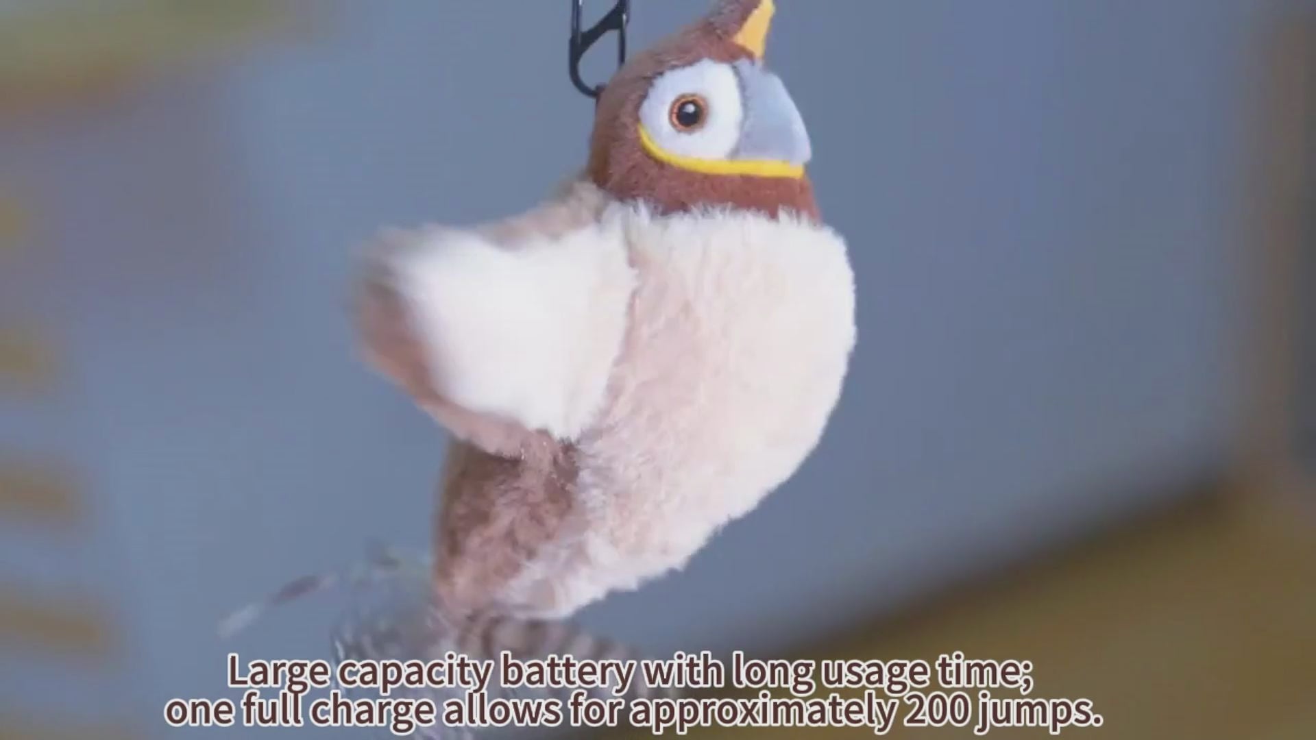 Load video: 