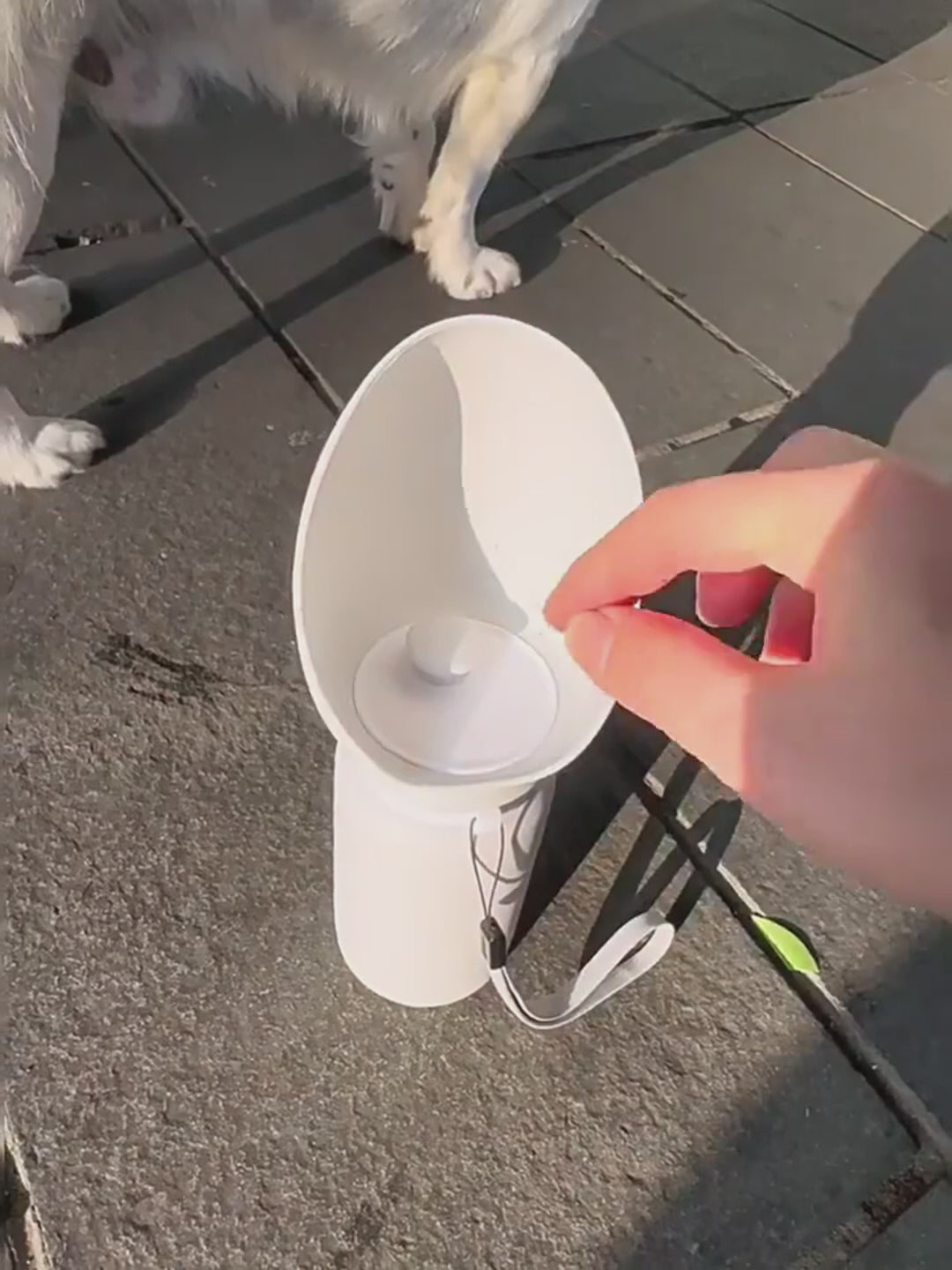 Load video: 